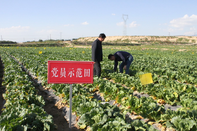 超大 超大现代农业 超大现代农业集团